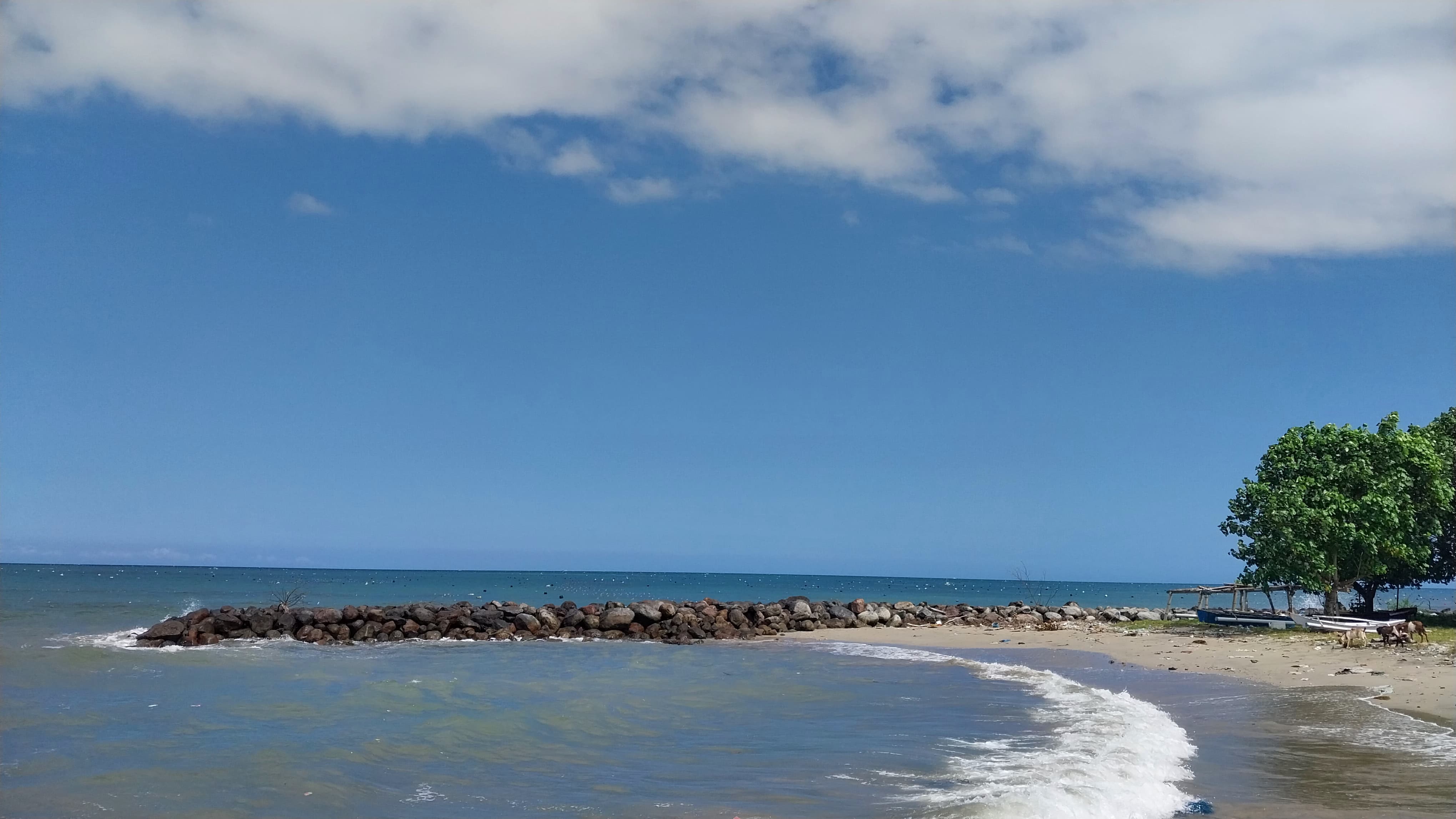 Background image of a beach